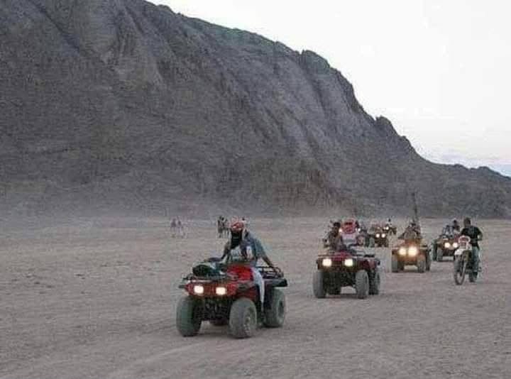 Family Safari ??? A Short Adventure?Ǫ And Big Memories!